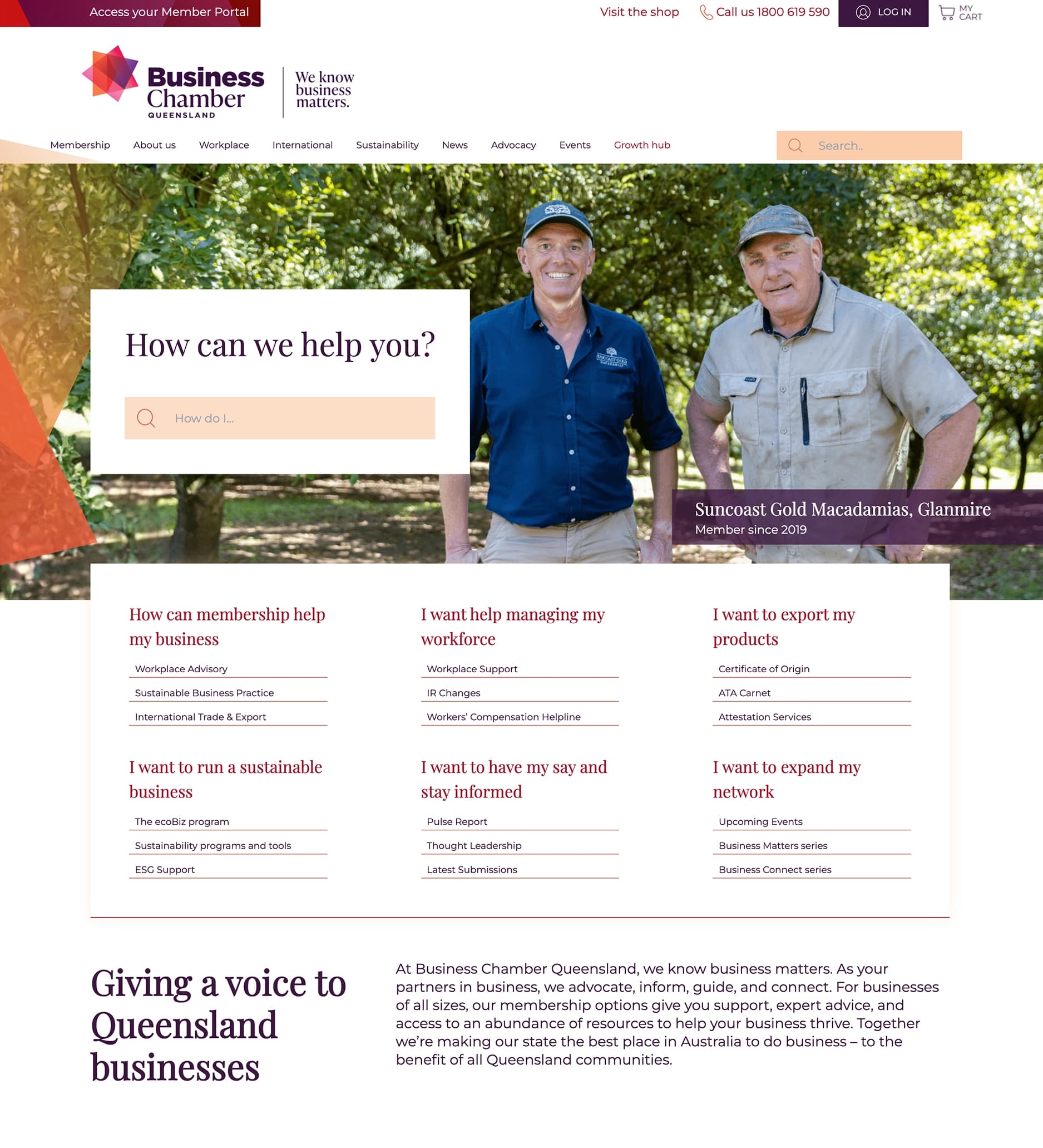 Website homepage design on a desktop monitor